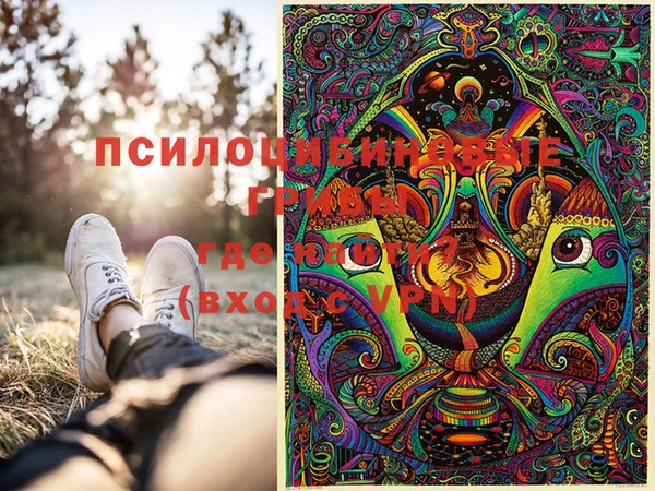 эйфоретик Баксан