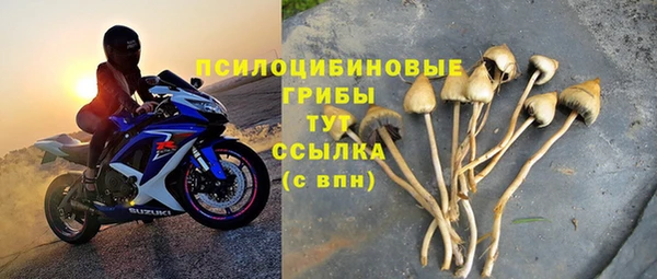 прущая мука Арсеньев