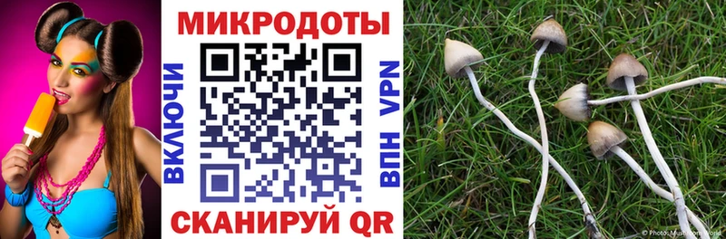 Галлюциногенные грибы прущие грибы  МЕГА ТОР  Новая Ляля 